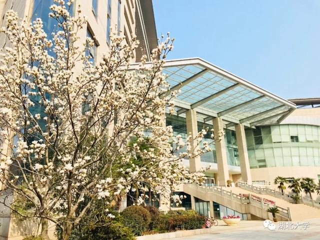 beat365正版唯一官网必一校长谢红星在学生班会上的特别寄语：热爱生活，珍爱生命